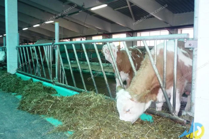 Разделитель для безпривязного содержания животных MetallDreamUA- фото № 12