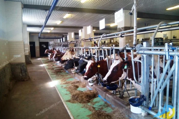 Разделитель для безпривязного содержания животных MetallDreamUA- фото № 14