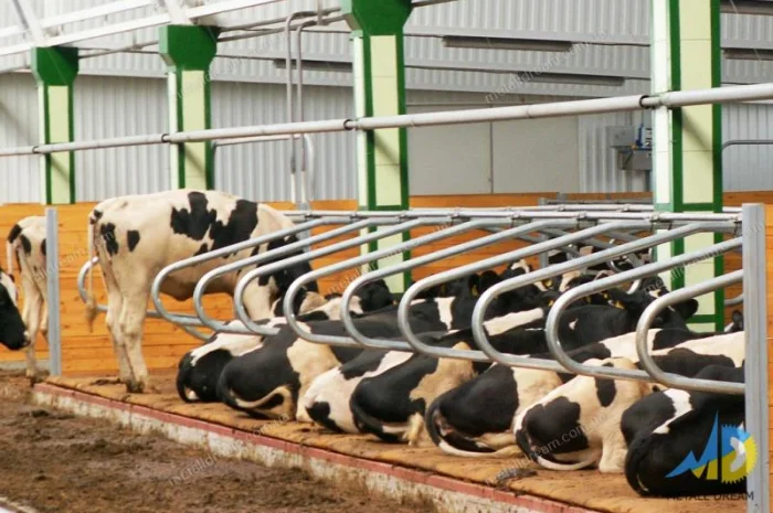 Разделитель для безпривязного содержания животных MetallDreamUA- фото № 19