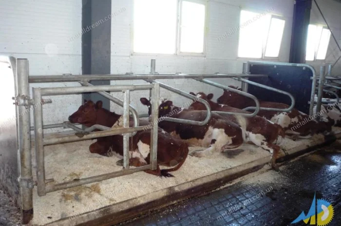 Разделитель для безпривязного содержания животных MetallDreamUA- фото № 7