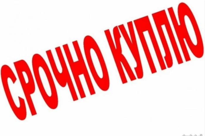 Покупка бычков телят от 40 до 150 кг оптом- фото № 1