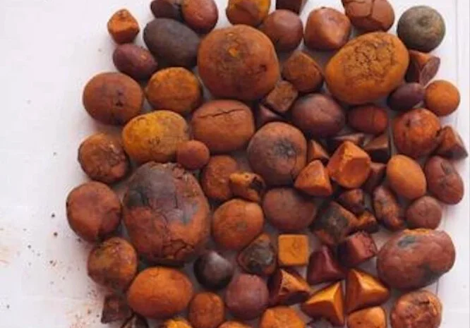 Куплю жовчні камні крупної рогатої худоби- фото № 1