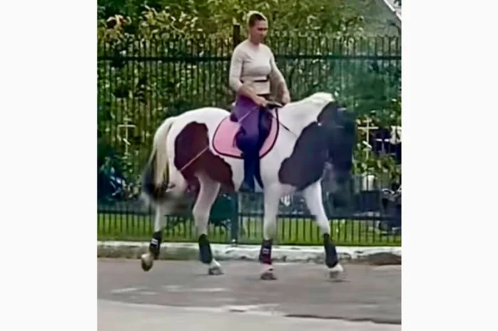 Лощадь для спорта- фото № 4