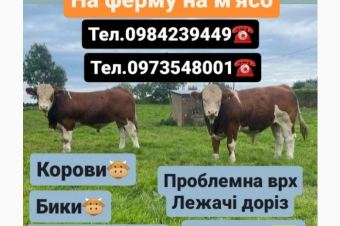 Закуповуємо Врх- фото № 1