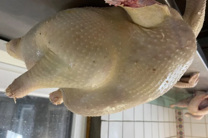 Продам індичат кросса Big-6- фото № 4