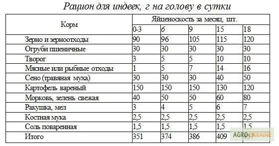 Индюшата Хайбрид Грейд Мейкер (Канада) от производителя- фото № 2