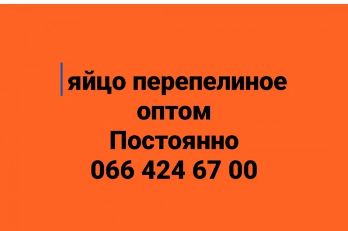 Куплю яйцо перепелиное оптом- фото № 1