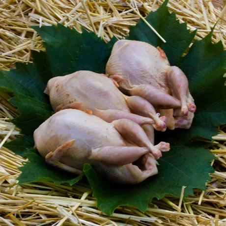 Тушки перепела оптом- фото № 1