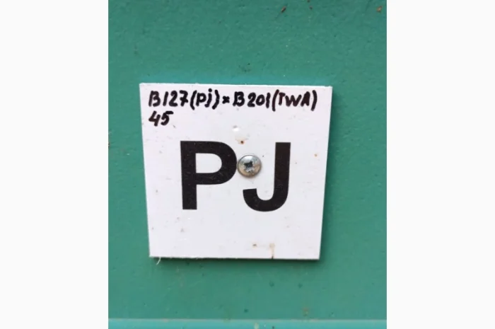 Buckfast бджоломатки- фото № 1