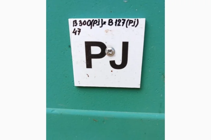 Buckfast бджоломатки- фото № 4