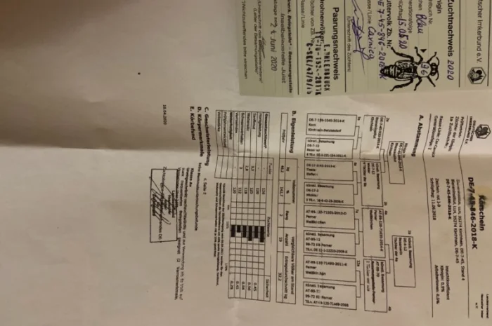 Продам Карнику- фото № 2