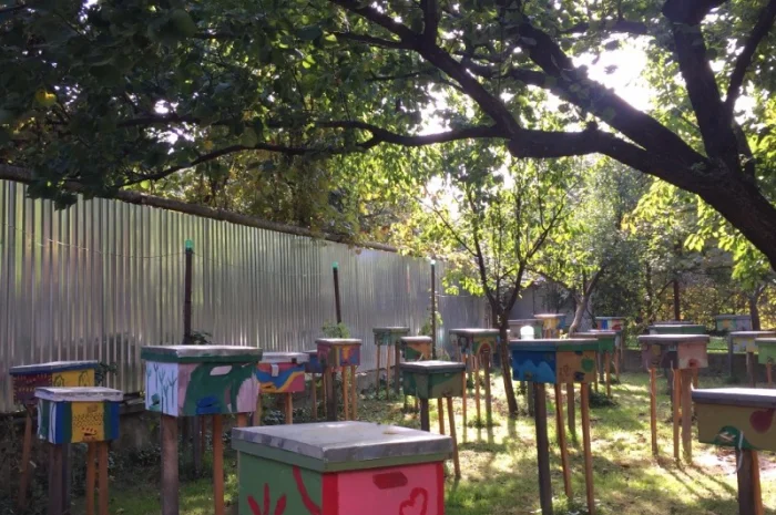 Матки Карпатка та КАРНІКА 2024 – Бджоломатки високої якості (Пчеломатка, Бджоломатка, Бджолині матки)- фото № 8