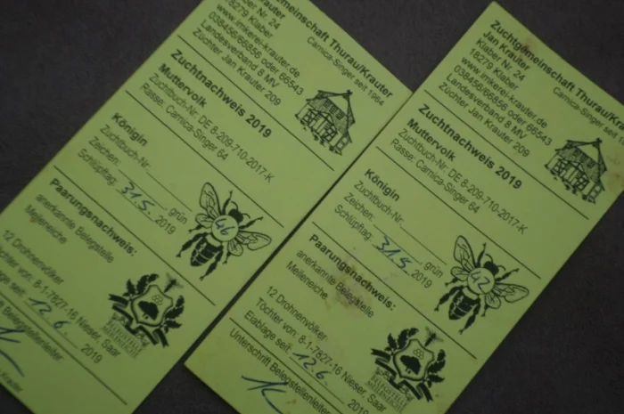 Пчеломатки породы Карника от племенного производителя- фото № 4