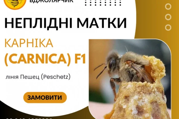 Неплідні бджоломатки Карніка- фото № 1