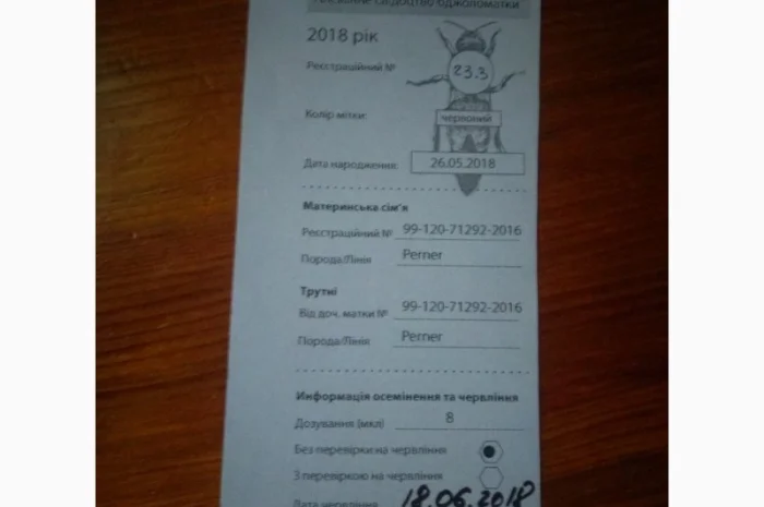 Матки породи Carnica- фото № 2