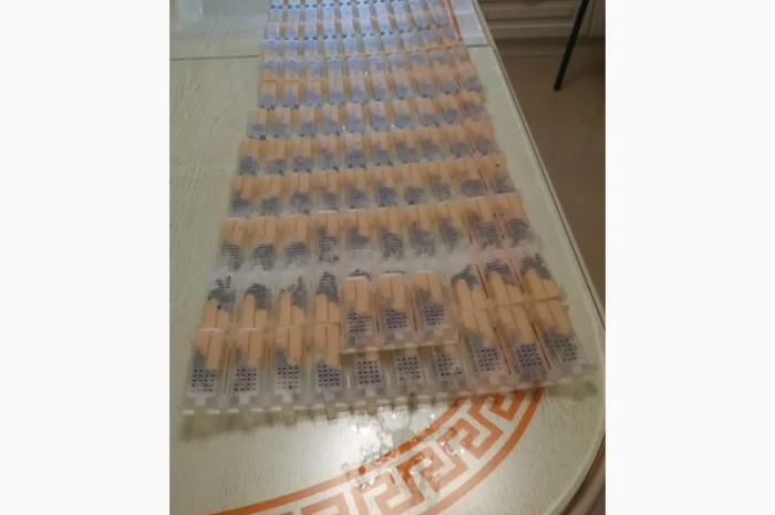 Продам високоякісні матки Карпатки- фото № 1