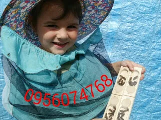 Бджоломатки високопродуктивні- фото № 1