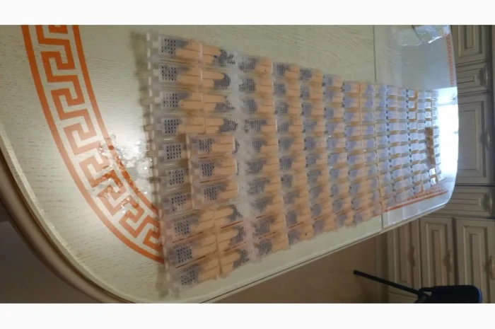 Високоякісні бджоли – матки карпатки від провідного розплідника Закарпаття- фото № 4