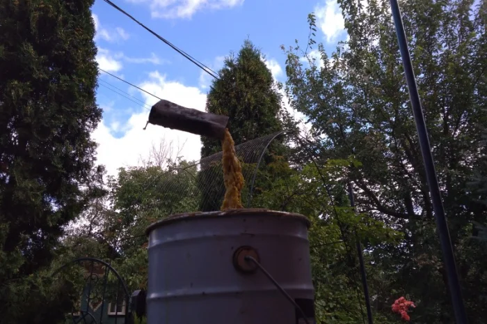 Продам бджоломатки породи Сірра Гірська Кавказька- фото № 1