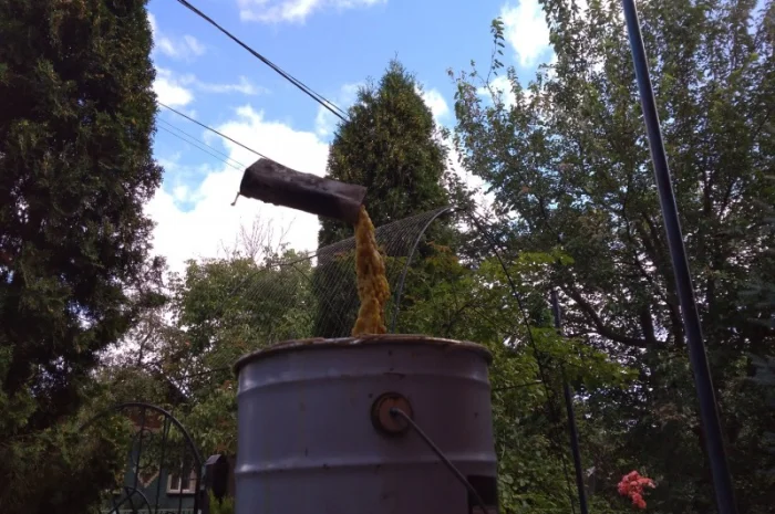 Продам пчеломатки кавказянки- фото № 1