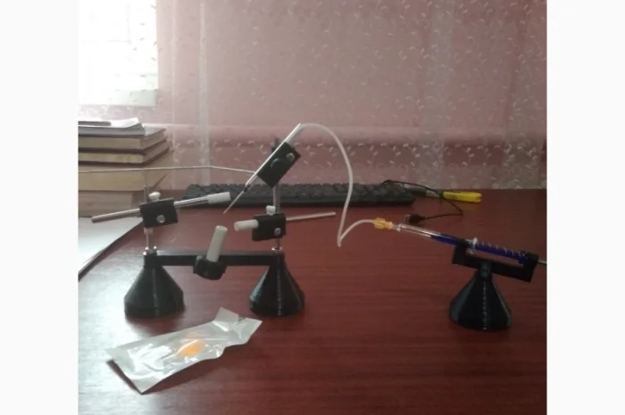 Пчеломатки ИО карника, мигрельская популяция кавказской линии- фото № 1