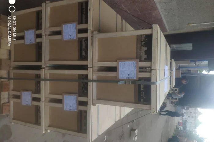 Пропонуються бджолопакети карпатської породи 2025 року- фото № 2