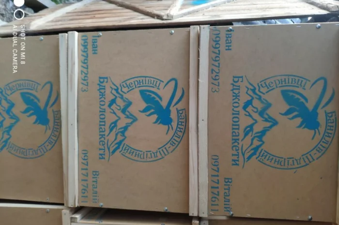 Пропонуються бджолопакети карпатської породи 2025 року- фото № 4