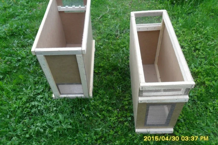 Пчелопакеты с молодыми пчеломатками Карпатской породы — доставка по всей Украине- фото № 7