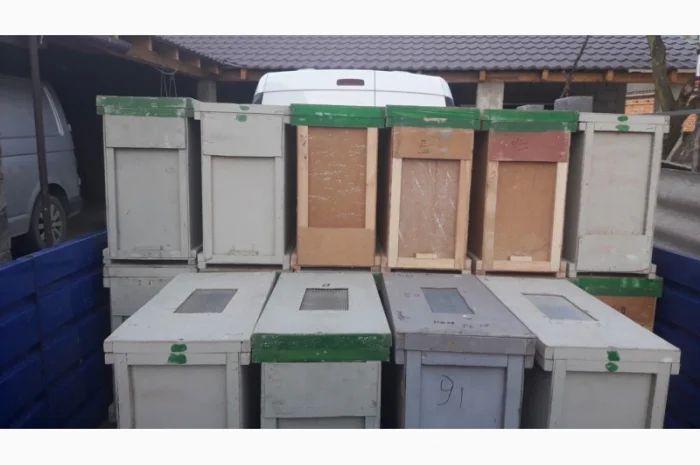 Пропоную бджолопакети карпатської породи на 2025 рік- фото № 1