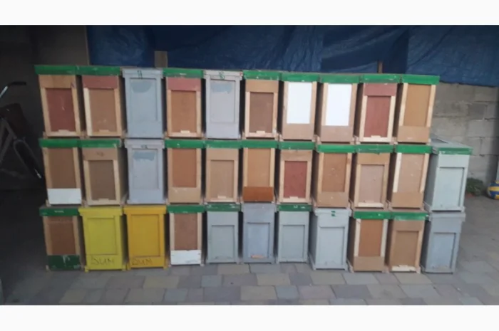 Пропоную бджолопакети карпатської породи на 2025 рік- фото № 3