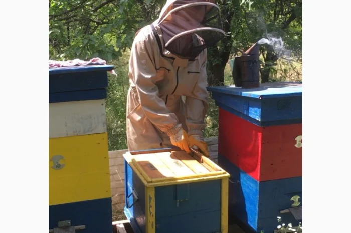 Продаются пчелопакеты Карника- фото № 5