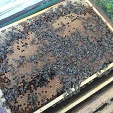 Пропонуються бджолопакети з українською степовою породою- фото № 1