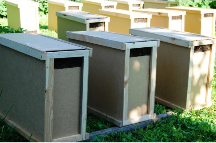 Продаються бджолопакети з матками 2025 року- фото № 2