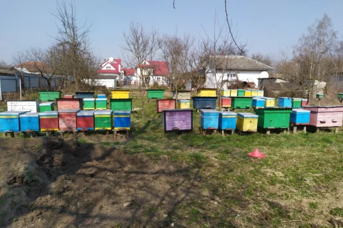 Бджолопакети- фото № 1