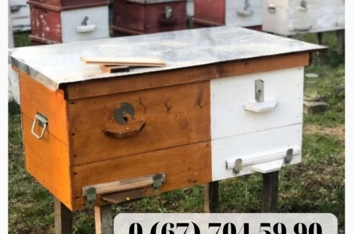 Продам бджолопакети української степової породи, 4 рамки, 80 шт- фото № 1