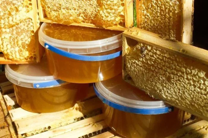 Пропоную бджолопакети української степової породи на продаж- фото № 1