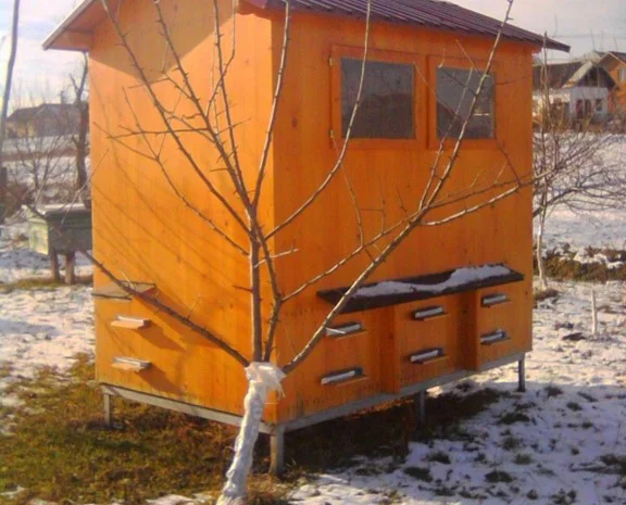 Продам бджолопакети- фото № 1