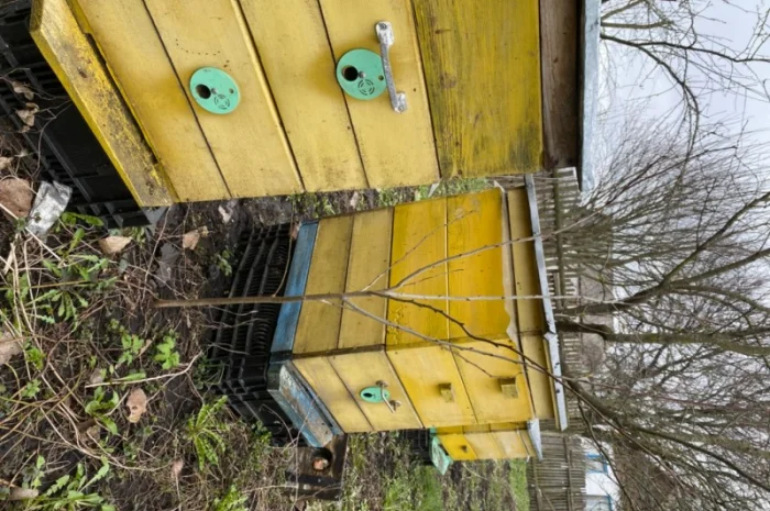 Продам бджолосім’ї різних рамок- фото № 1