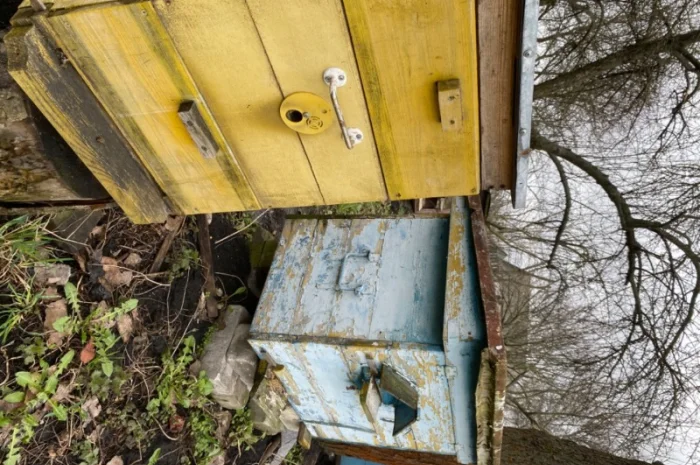 Продам бджолосім’ї різних рамок- фото № 2