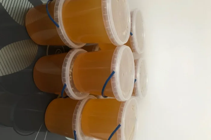 Бджоли, відводки, рої та свіжий мед- фото № 3