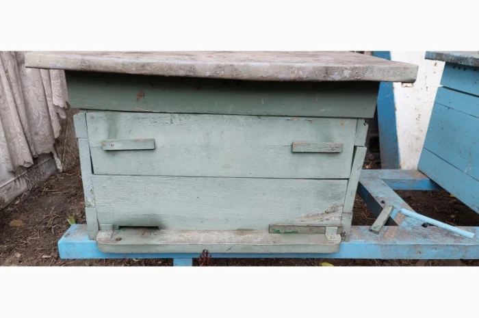 Продам пчелосемьи с уликами- фото № 1