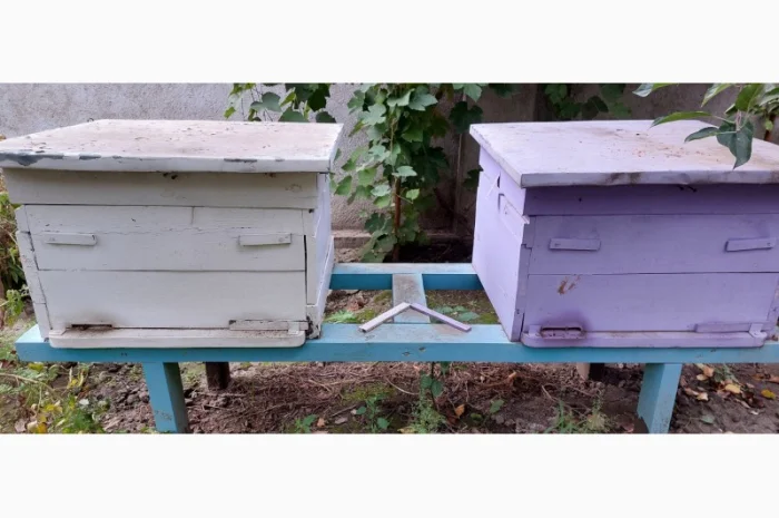 Продам пчелосемьи с уликами- фото № 2