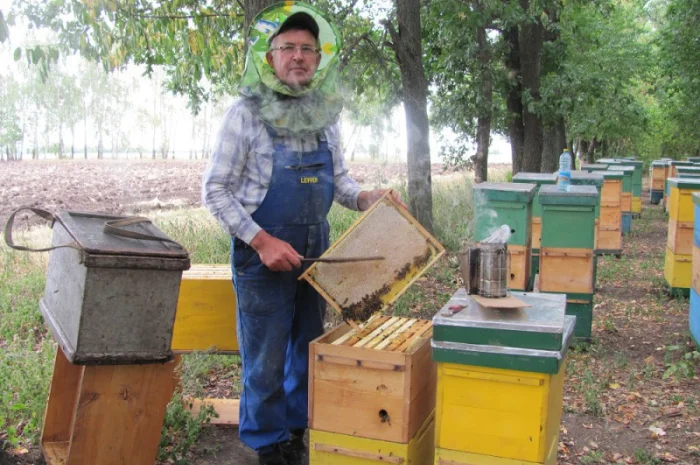 Продам бджолосім’ї та відводки- фото № 1