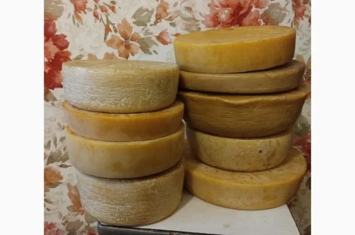 Продам бджолосім'ї та бджолопакети для пасік- фото № 2