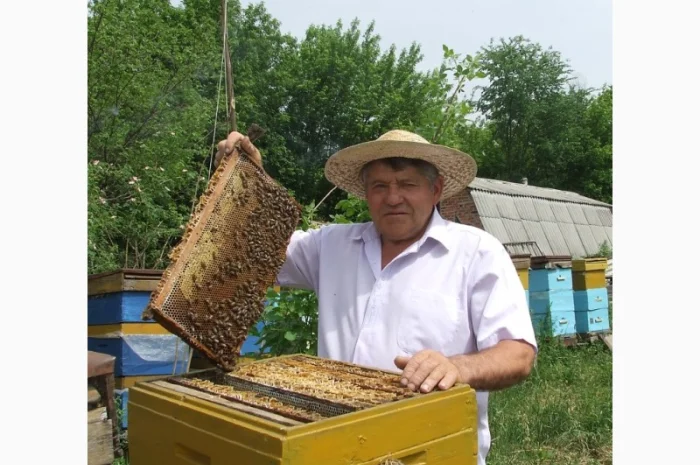 Продам пчелосемьи и пчелиные пакеты- фото № 1