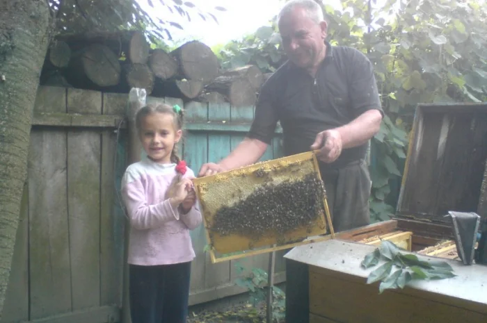 Продам бджолосімї- фото № 1