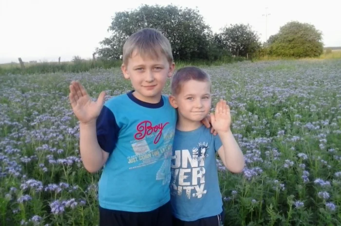 Продам бджолосім’ї Карпатка- фото № 1