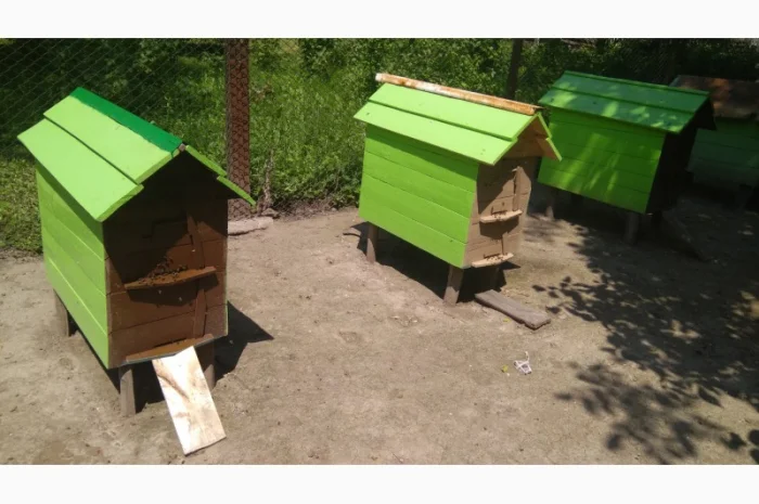 Вулики з бджолами- фото № 1