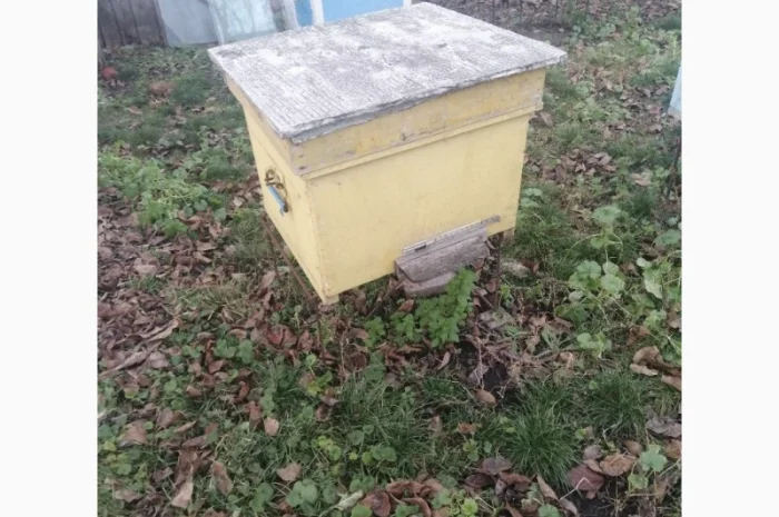 Продам діючу, здорову, пасіку 5 шт., лікувальний вулик та будиночок бджоляра на колесах- фото № 10