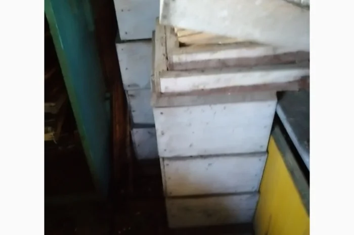 Продам діючу, здорову, пасіку 5 шт., лікувальний вулик та будиночок бджоляра на колесах- фото № 2